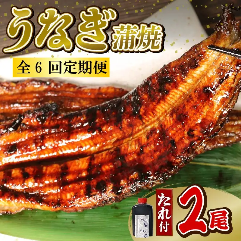 うなぎ 蒲焼 大姿焼き 2尾 140g×2 【全6回定期便】 | 鰻 鰻