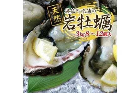 天然岩牡蠣 約3kg 8～12個入 殻付き 山形県遊佐町吹浦産 6月上旬～8月下旬頃お届け 冷蔵便 ※着日指定・離島（沖縄県を含む）発送不可 カキ かき 岩かき お取り寄せ 日本海 東北 庄内 鮮魚 新鮮 [1473]