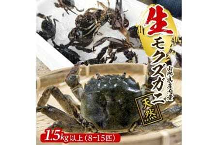 生・天然モクズガニ 1.5kg以上 8～15匹 オス・メス混合 山形県庄内産 9月中旬～12月上旬頃順次発送 冷蔵便 ※着日指定・離島（沖縄県を含む）発送不可 カニ 蟹 かに 川ガニ 新鮮 鮮魚 まるごと 姿 カニみそ 味噌汁 蒸し蟹 期間限定 お取り寄せ おうち時間 [849]