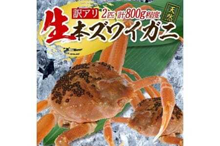 訳あり 生・本ズワイガニ 2匹 計800g程度 1～2本足折れ 遊佐沖 10月中旬～12月下旬頃お届け 冷蔵便 ※着日指定・離島（沖縄県を含む）発送不可 わけあり 訳アリ ワケアリ ワケあり カニ 蟹 かに 海産物 海鮮 新鮮 まるごと 生食 刺身 ボイル 期間限定 [856]