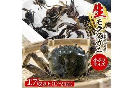生・天然モクズガニ 1.7kg以上 小ぶりサイズ 17～24匹 オス・メス混合 山形県庄内産 9月中旬～12月上旬頃順次発送 冷蔵便 ※着日指定・離島（沖縄県を含む）発送不可 カニ 蟹 かに 川ガニ 新鮮 鮮魚 まるごと 姿 カニみそ 味噌汁 蒸し蟹 期間限定 [972]