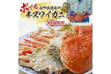 ボイル 本ズワイガニ 1匹 500g程度 遊佐沖 10月中旬～12月下旬頃お届け 冷蔵便 ※着日指定・離島（沖縄県を含む）発送不可 東北 山形県 遊佐町 庄内地方 日本海 カニ 蟹 海産物 シーフード 海鮮 新鮮 まるごと ボイル 焼き 期間限定 お取り寄せ ゆで 茹で [974]