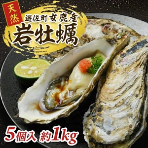 山形県遊佐町女鹿産 天然岩牡蠣 5個入 約1kg 殻付き 6月上旬～8月下旬頃お届け 冷蔵便 ※着日指定・離島（沖縄県を含む）発送不可 カキ かき 岩かき お取り寄せ 日本海 東北 庄内 鮮魚 新鮮 [1186]