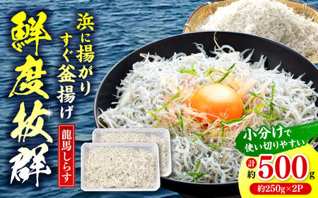 【最速発送】釜揚げ龍馬しらす 約250g×2パック【株式会社　七和】 [ATAX011]　スピード 最短 最速 発送