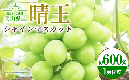 シャインマスカット晴王 約600g 1房程度 橋田商店有限会社 先行予約《2026年9月中旬-11月中旬頃出荷》 岡山県 浅口市 岡山県産 ぶどう フルーツ 果物 くだもの マスカット 送料無料【配送不可地域あり】（北海道・沖縄・離島）