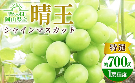 ぶどう シャインマスカット晴王 約700g 特選 1房程度 橋田商店有限会社 先行予約《2026年9月中旬-11月中旬頃出荷》 岡山県 浅口市 岡山県産 ぶどう フルーツ 果物 くだもの マスカット 送料無料【配送不可地域あり】（北海道・沖縄・離島）