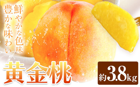 黄金桃 約3.8kg 花田青果株式会社 桃