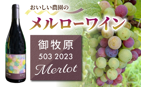 【おいしい農園】メルローワイン「御牧原503」1本
