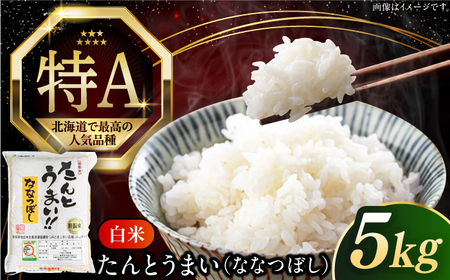 【令和7年産】ななつぼし [たんとう米]5kg コメ 北海道産 [AXAB060]