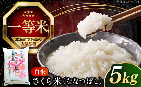 【令和7年産】 さくら米（ななつぼし）5kg 北海道 コメ こめ ブランド 銘柄 [AXAB061]