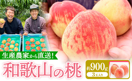 和歌山県産の桃【先行予約】 約900g (3玉入り) GREEN JUNCTION株式会社《2026年6月中旬-2026年8月末頃出荷》和歌山県 紀の川市 桃 果物 果実 フルーツ 自然栽培 送料無料