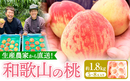 和歌山県産の桃【先行予約】 約1.8kg (5～8玉入り) GREEN JUNCTION株式会社《2026年6月中旬-2026年8月末頃出荷》和歌山県 紀の川市 桃 果物 果実 フルーツ 自然栽培 送料無料