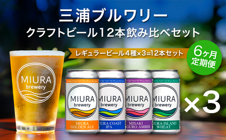 【 全6回定期便 】【 三浦ブルワリー 】 クラフトビール 12本飲み比べセット M110-T06 定期便 アルコール ビール