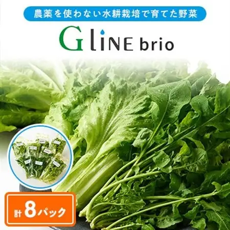 【毎月定期便】G Line brio レタス8パックセット全6回【配送不可地域：離島】【4056839】