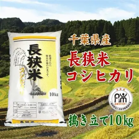 令和7年産千葉県産長狭米コシヒカリ精米10kg【1576561】