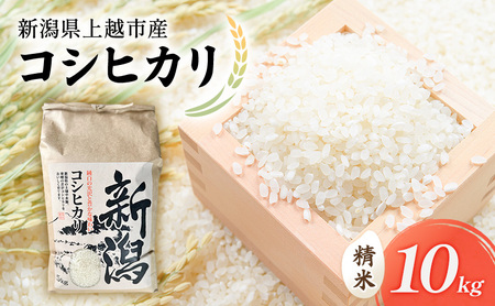 令和7年 新潟県上越市産 コシヒカリ（特別栽培米） 10kg 10キロ 米 こしひかり 山本農園 ご飯 精米 新潟 上越