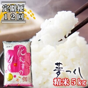 定期便 12回 福岡県産 米 夢つくし 精米5kg×12ケ月