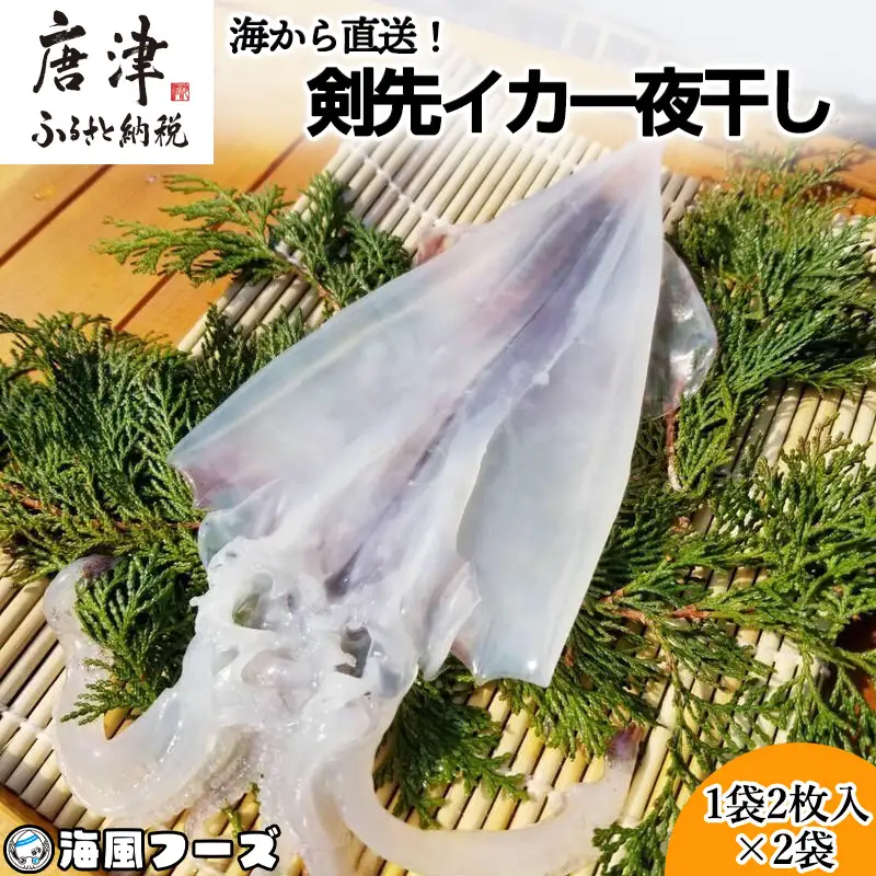 海から直送！剣先イカ一夜干し1袋2枚入り(200ｇ)×2袋 いか おつまみ 干物 酒の肴
