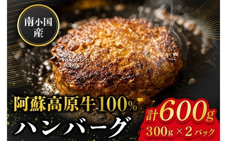 南小国産 阿蘇高原牛 牛100% ハンバーグ 600g 贅沢 牛 牛肉 国産牛 ハンバーグ ハンバーグステーキ 150g 4個 小分け 熊本県産 国産 贈答用 ギフト ハマダ 熊本 阿蘇 南小国町 送料無料