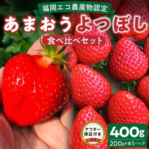 【2026年12月より順次発送】福岡県エコ農産物認定　堀農園のあまおう＆よつぼし食べ比べセット400ｇ(200g×2パック)_ いちご フルーツ 果物 先行受付  〔Fi075〕