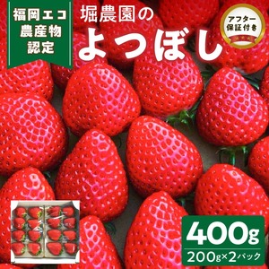【2026年12月より順次発送】福岡県エコ農産物認定　堀農園のよつぼし400g_ いちご フルーツ 果物 先行受付 〔Fi073〕