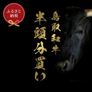 【和牛セレブ】鳥取和牛半頭分のセレブ体験（12分割納品）