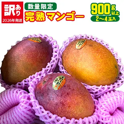 【2026年発送】【訳あり品】共選完熟マンゴー900g以上（2～4玉） 訳アリ マンゴー まんごー 果物 くだもの 果実 お取り寄せ 送料無料 沖縄県産 産地直送 アーウィン 人気 自分用 甘味 県産 ご当地 やんばる ふるさと納税