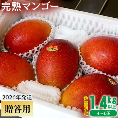 【2026年発送】【贈答用】共選完熟マンゴー1.4kg以上（4～6玉） 贈答用 マンゴー まんごー 果物 くだもの 果実 お取り寄せ ギフト 送料無料 沖縄県産 産地直送 アーウィン 人気 自分用 甘味 県産 ご当地 やんばる ふるさと納税