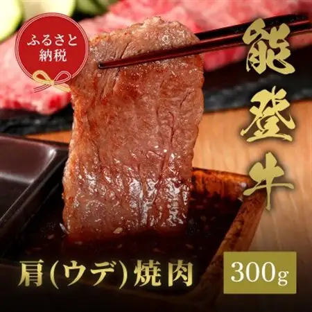 能登牛 牛肩(ウデ) 焼肉 300g_肉 焼肉 牛肉 やきにく ヤキニク バーベキュー_【配送不可地域：離島】【1556808】
