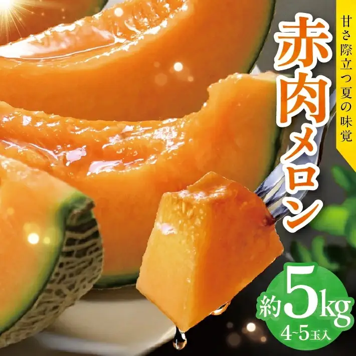 赤肉メロン 約5kg 4～5玉入 山形県遊佐町産 6月下旬～7月下旬頃お届け ※着日指定不可 果物 フルーツ メロン 赤肉 夏 東北 山形県 遊佐町 庄内 庄内砂丘 JA [1439]