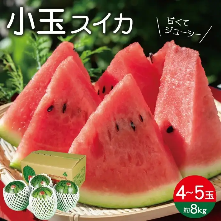 小玉スイカ 約8kg 4～5玉入 山形県遊佐町産 7月上旬～7月下旬頃お届け ※着日指定不可 果物 フルーツ スイカ すいか 西瓜 小玉すいか 小玉 夏 東北 山形県 遊佐町 庄内 庄内砂丘 JA [1225]