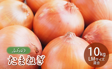 【2026年秋発送】ふらの たまねぎ 10kg LMサイズ混合 北海道 富良野市 野菜 新鮮 直送 玉ねぎ 道産 ふらの 送料無料 数量限定 先着順