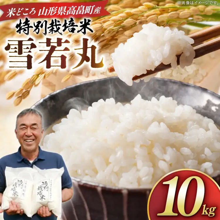 米 令和8年度産 特別栽培米 雪若丸 10kg [渡部ファーム 山形県 高畠町 tk06ays810029] お米 白米 精米 ごはん ご飯 ブランド米