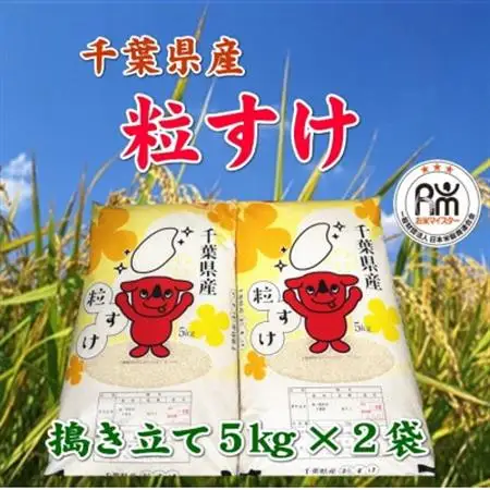 令和7年産千葉県産粒すけ精米10kg(5kg×2袋)_お米 こめ おこめ 白米 コシヒカリ 粒すけ 国産 限定 ごはん ご飯 白飯 ゴハン_【1576584】