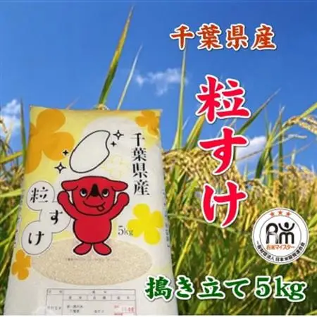 令和7年産千葉県産粒すけ精米5kg_お米 こめ おこめ 白米 コシヒカリ 粒すけ 国産 限定 ごはん ご飯 白飯 ゴハン_【1576623】