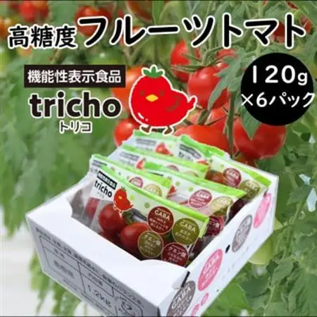 高糖度フルーツトマト「tricho(トリコ)」120g×6パックセット【配送不可地域：離島】【1577635】