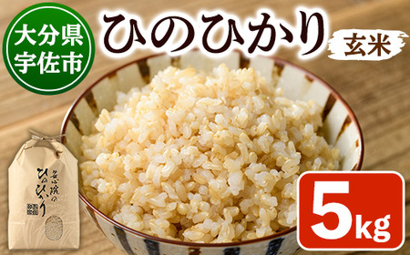 ＜令和7年産＞安心院産ひのひかり 玄米 (5kg) 米 お米 ひのひかり ヒノヒカリ 玄米 ご飯 大分県産【101200702】【百姓和楽】