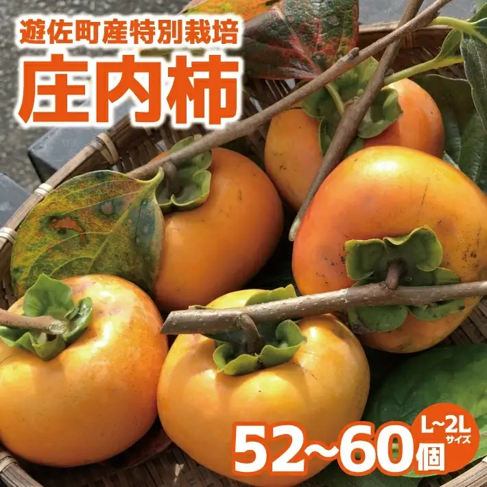 特別栽培庄内柿 10kg L～2Lサイズ 52～60個入り 山形県遊佐町産 2026年11月上旬～12月上旬頃お届け ※着日指定不可 東北 山形県 遊佐町 庄内地方 種無し柿 カキ かき 種無し 秋 [1415]
