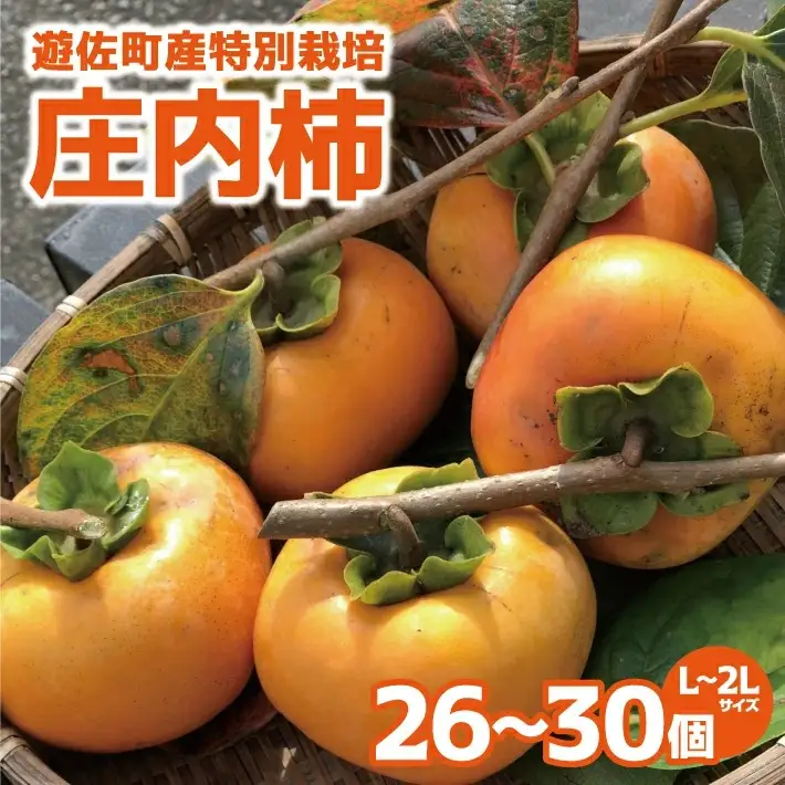 特別栽培庄内柿 5kg L～2Lサイズ 26～30個入り 山形県遊佐町産 2026年11月上旬～12月上旬頃お届け ※着日指定不可 東北 山形県 遊佐町 庄内地方 種無し柿 カキ かき 種無し 秋 [1407]