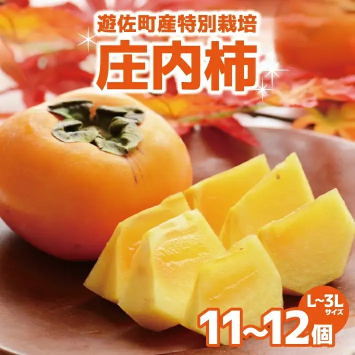 特別栽培庄内柿 2.5kg L～3Lサイズ 11～12個入り 山形県遊佐町産 2026年11月上旬～12月上旬頃お届け ※着日指定不可 東北 山形県 遊佐町 庄内地方 種無し柿 カキ かき 種無し [1408]