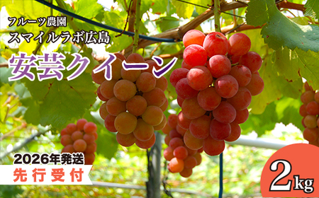 【先行受付】安芸クイーン 2kg 2026年9月上旬以降順次発送予定 ブドウ 葡萄 ぶどう フルーツ 果物 安芸クイーン 新鮮 産地直送 広島県三原市 059006