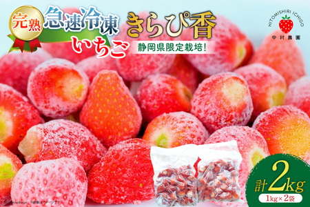 【令和7年台風15号復興支援】いちご 冷凍 きらぴ香 1kg 2袋 計2kg [ HITOMISHIRI ICHIGO 中村農園 静岡県 吉田町 22424684]