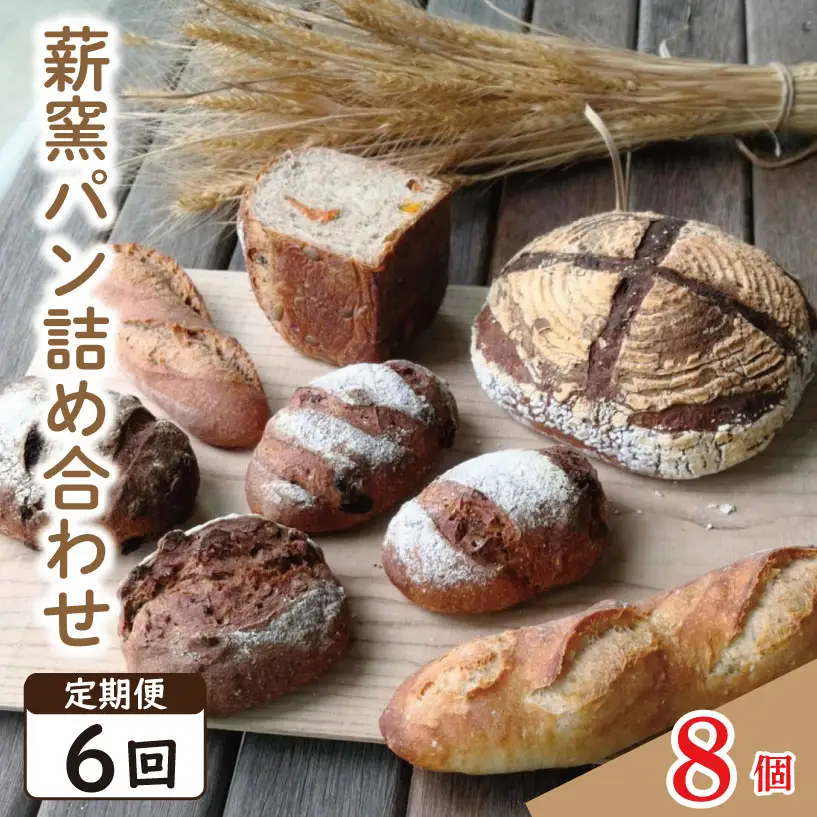 定期便6回 ハード系 パン 8個  おまかせセット ｜ パン