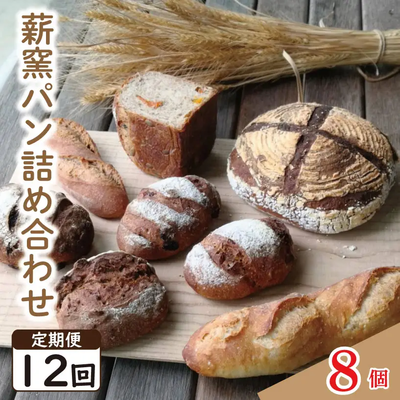定期便12回 ハード系 パン 8個  おまかせセット ｜ パン