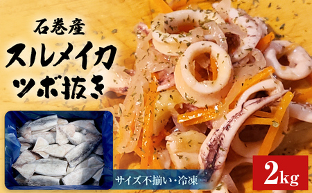 石巻市産スルメイカツボ抜き2kg 冷凍 国産 スルメイカ いか イカ  おつまみ 魚介類 焼イカ バーベキュー BBQ 烏賊 炒め物 フライ 唐揚げ