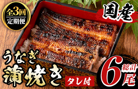 《定期便・全3回》国産！うなぎ蒲焼き(2尾×3回・タレ付き) 国産 九州産 鹿児島県 宮崎県 鰻 ウナギ unagi うな重 うな丼 ひつまぶし うなじゅう 蒲焼 かばやき 無頭 魚 魚介類 土用 丑の日 タレ タレ付 おかず 惣菜 冷蔵 特産品 お土産 ギフト プレゼント ご贈答用 真空パック 湯煎 レンジ 簡単調理 定期 毎月【尾方屋】_y490