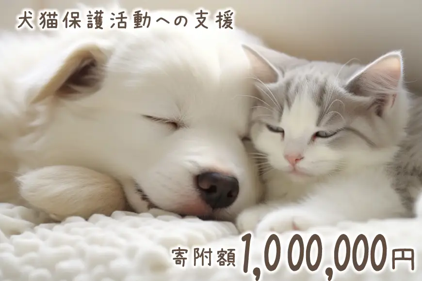 犬猫保護活動への支援 100万円分 [NPO法人セブンデイズ 福岡県 筑紫野市 21761494]