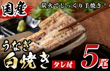 国産！うなぎ白焼き(5尾・タレ付き) 国産 九州産 鰻 ウナギ 無頭 魚 魚介類 かばやき 蒲焼 蒲焼き しろやき 白焼 おかず 特産品 お土産 ギフト プレゼント 冷蔵【尾方屋】_y489
