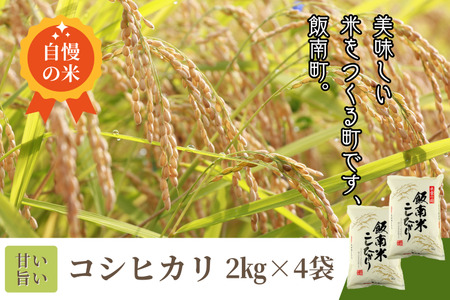 島根県飯南町産 こしひかり（２kg×４袋）【 米 コシヒカリ  ブランド米 小分け 新米 便利 贈答用 プレゼント 精米 玄米 選択可能 Ａ-76 】