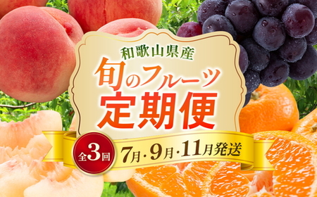 〈定期便〉【7・9・11月 全3回】産直・和歌山フルーツ（桃・ピオーネ・有田みかん） ｜ フルーツ